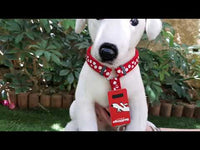 Red Dingo - Bumblebee Harness - Medium