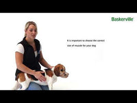 Company of Animals - Baskerville Classic Basket Muzzle