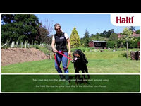 Company Of Animals - Halti Front Control Harness