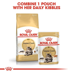 Royal Canin - Adult Maine Coon Cat - 85g (12 Pack)