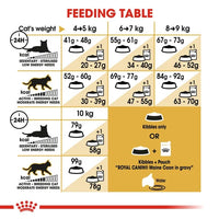 Royal Canin - Adult Maine Coon 31- 2kg