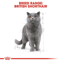 Royal Canin - British Shorthair Adult Wet Cat Food in Gravy -  85g (12 Pack)