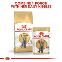 Royal Canin - British Shorthair Adult Wet Cat Food in Gravy -  85g (12 Pack)