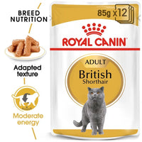 Royal Canin - British Shorthair Adult Wet Cat Food in Gravy -  85g (12 Pack)