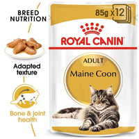 Royal Canin - Adult Maine Coon Cat - 85g (12 Pack)