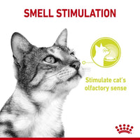 Royal Canin - Sensory Smell in jelly Pouch - 85g