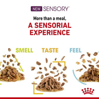 Royal Canin - Sensory Smell in jelly Pouch - 85g