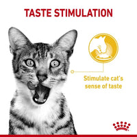 Royal Canin - Sensory Taste Cat Wet Food in Jelly - 85g Pouch