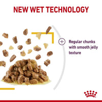 Royal Canin - Sensory Taste Cat Wet Food in Jelly - 85g Pouch