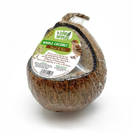 Love Wildlife - Whole Coconut - Seed & Nut