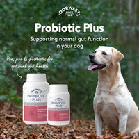 Dorwest - Probiotic Plus 100