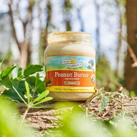 Harrisons - Peanut Butter Jar Feeder