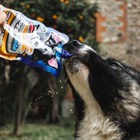 DoggyRade - Isotonic Drink For Dogs - 500ml