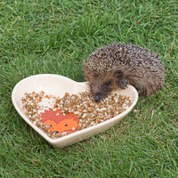 Brambles - Semi Moist Hedgehog Food - 1.3kg