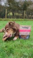 Hollings - Pigs Ears Carry Bag - 10pk