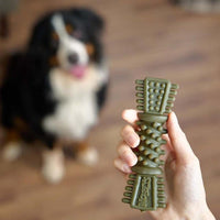 Nobblys Tough Brush Mint - Large