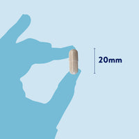 Dorwest - Probiotic Plus 100