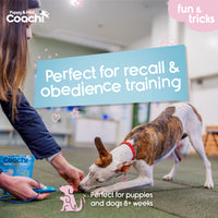 Company of Animals - Coachi Puppy & Mini Whizzclick - Teal & Mint