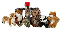 Animal Instincts - Walter Woodpecker - Large