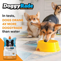 DoggyRade - Isotonic Drink For Dogs - 500ml