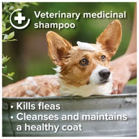 Beaphar - Insecticidal Dog Shampoo - 250ml