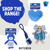 Rosewood Battersea Butterfly