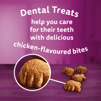 WHISKAS - Dentabites Adult Cat Treats with Chicken - 40g