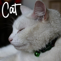 Ancol - CAT COL CAMO GREEN SGL