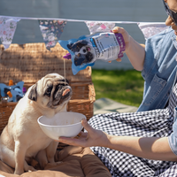 DoggyRade - Isotonic Drink For Dogs - 500ml
