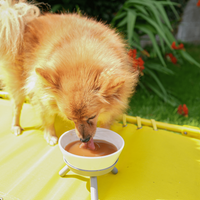 DoggyRade - Isotonic Drink For Dogs - 500ml