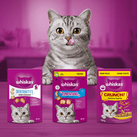 WHISKAS - Dentabites Adult Cat Treats with Chicken - 40g