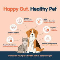 Frozzys - Happy Gut Yoghurt Squeeze, Cat