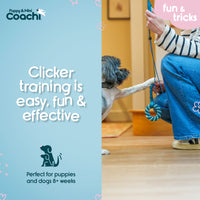 Company of Animals - Coachi Puppy & Mini Whizzclick - Teal & Mint