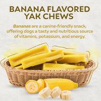 Petello - Yak Cheese Dog Chew, Banana - Medium