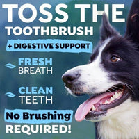 TropiClean Oral Care Dental Health Solution Plus Digestive Support 473ml