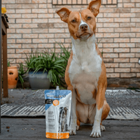 DoggyRade - Pro Isotonic Drink for Pets - 500ml