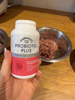 Dorwest - Probiotic Plus 100
