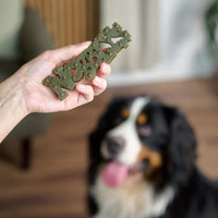 Petello Nobblys Mint Dog Chew 30G Medium