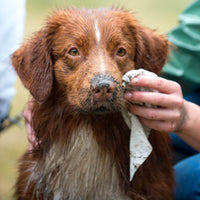 Hownd - Yup You Stink Emergency Dog Wipes 30x20cm