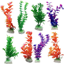 Betta - Assorted Fish Plant Medium 8` - each