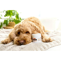 Palmer's - Paw Pad & Nose Balm With Cocoa Butter - 3.5oz