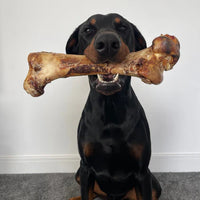 JR Pet Products - Large Ostrich Bone