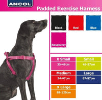 Ancol - Padded Harness - Black - Extra Large