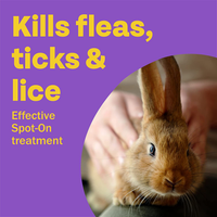 Bob Martin - Small Animal Spot-On Flea Tick & Mite Treatment