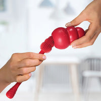 KONG - Kong Toy Cleaning Brush