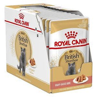 Royal Canin - British Shorthair Adult Wet Cat Food in Gravy -  85g (12 Pack)