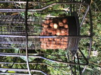 Rosewood - Feeding Time Squirrel Proof Lantern - Peanuts