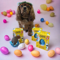 Webbox - Dog Easter Egg - 60g