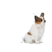 Royal Canin - X-Small Junior Dog - 1.5KG