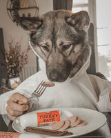 JR Pet Products - Pure Turkey Pate - 80g